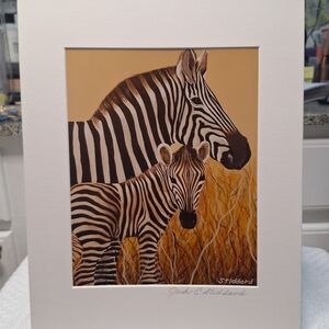 Mama & Baby Zebra Art Painting - By Jack E. Stiddard 8x10 On 11x14 Mat